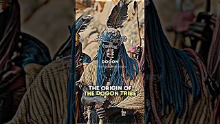 The Origin Of The Dogon Tribe joerogan tribe story [upl. by Yrak]