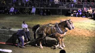 Draft Horse Pull 2013 Deerfield Fair NH Pulling Video 43 [upl. by Huba760]