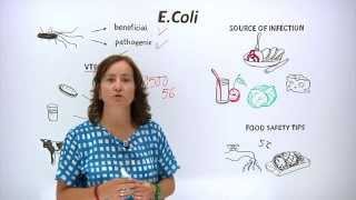 E Coli nedir [upl. by Manas]