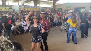 Baile En Vivo En La Pulga De Alamo Texas [upl. by Sexela]