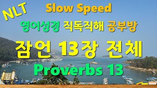 NLT Proverbs 잠언 13장 전체 영어성경 직독직해 공부방 한글직역 [upl. by Emerej837]