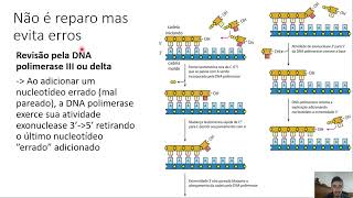 Biologia Molecular  Mutação Reparo e Recombinação do DNA  parte 22 [upl. by Nolyak307]