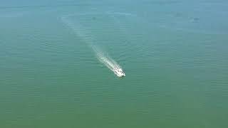 Everglades Boats 223cc Boston Harbor [upl. by Tlok]