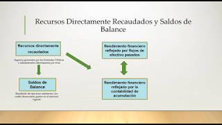 Recursos Directamente Recaudados y Saldos de Balance [upl. by Don267]