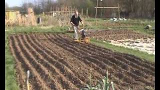 From seed to loaf part 1 of 2 allotment scale production of bread making wheat [upl. by Nemad603]