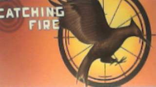 Catching Fire Audiobook Chapter 14 [upl. by Ynaffets]