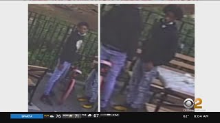 Police Release Photos Of Suspects Wanted For Shooting Brooklyn Teen In Head [upl. by Suiddaht]