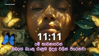 1111 ඔබේ මුදල් පසුම්බිය පුරවගන්න මේ භාවනාව LAW OF ATTRACTION sinhala loa possitiveaffirmation 🧿 [upl. by Everson]