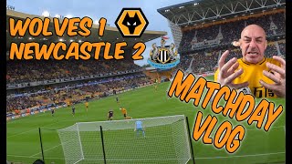 Wolves 1 Newcastle 2  Barnes Stunner Wins At Molineux  All Goals [upl. by Caves]