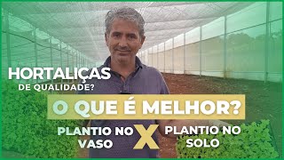 Qual o melhor lugar para plantar hortaliças [upl. by Burnett552]