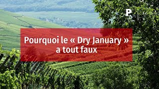 Pourquoi le Â« Dry January Â» a tout faux [upl. by Enimajneb]