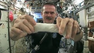 Tücken der Schwerelosigkeit Die WeltallTricks des BowieAstronauten Chris Hadfield [upl. by Desma]