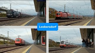 Züge Bahnhof Leobersdorf ● 02 11 2024 [upl. by Okimuy]