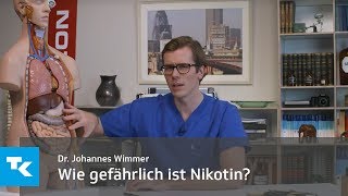 Wie gefährlich ist Rauchen  Dr Johannes Wimmer [upl. by Ikaz939]