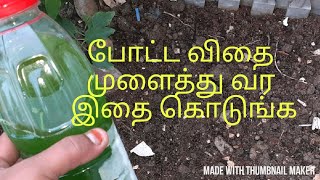 SEED STARTER Liquid fertilizer for SEEDLINGS [upl. by Siramad464]