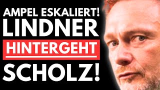 💥SENSATION FDP VERLÄSST DIE AMPEL LINDNER STÜRZT SCHOLZ INS CHAOS💥 [upl. by Walling549]