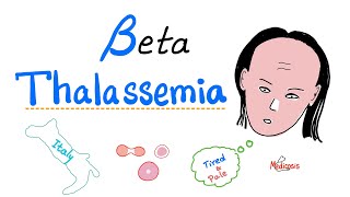 Beta Thalassemia  Causes and Types  minor Major amp Intermedia  Hematology [upl. by Ennoitna]