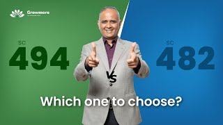 SC482 vs SC494  Which one to choose by Growmore Australia news hindi visa australianews [upl. by Seek]