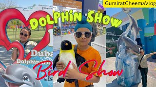 Dolphin Show🐬 Full Entertainment In Dubai  gursiratcheema [upl. by Shirlee]