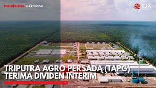 Triputra Agro Persada TAPG Terima Dividen Interim  IDX CHANNEL [upl. by Moguel]