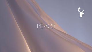 Peace Official Lyric Video  Bethel Music feat We The Kingdom  Peace [upl. by Leasia]