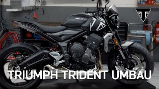 Umbau Triumph Trident 660 [upl. by Soinotna]