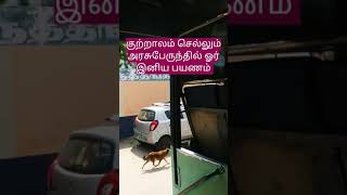 அரசுபேருந்துviruthunagar thiruthangal viaaruppukotta to kutralam [upl. by Allenod]