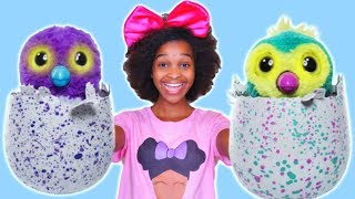 NEW HATCHIMALS TOY with Shiloh and Shasha  Onyx Kids [upl. by Adelbert]