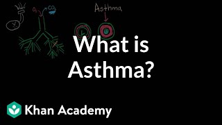 What is asthma  Respiratory system diseases  NCLEXRN  Khan Academy [upl. by Amalberga]