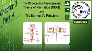 MyoelasticAerodynamic Theory of Phonation amp Bernoullis principle [upl. by Annibo]