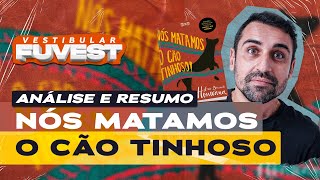 Vestibular FUVEST  Análise e resumo de NÓS MATAMOS O CÃO TINHOSO [upl. by Enrika]