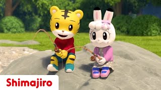 Going to Camp 🏕 NEW 3D EPISODES  Episode 23  Kids videos for kids  Shimajiro [upl. by Anilag380]