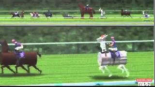 Crazy Japan Horse Racing [upl. by Mathe]