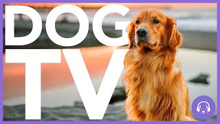 15 Hour Dog TV  AllNew Adventure Experience for Dogs 🐶 [upl. by Ataeb]