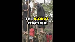 The HIDDEN Roots of the Igorot People in the Philippines [upl. by Eldreeda374]