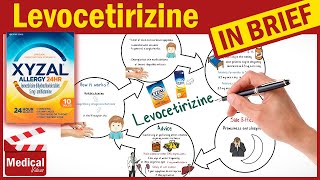 Levocetirizine 5 mg  Xyzal  What is Levocetirizine Used For Dosage Side Effects amp Precautions [upl. by Prunella]