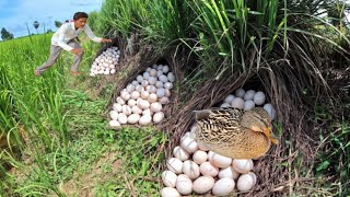 duck egg 🪿 different type boiled egg survival cooking in jangal [upl. by Bernette15]