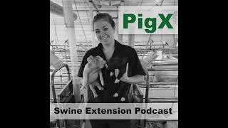 Season 3 Episode 1 Sow Farm Management with Chris Blevins amp Lance Dunbar [upl. by Cohn592]