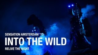 Sensation Amsterdam 2013 Into The Wild post event movie [upl. by Arly]