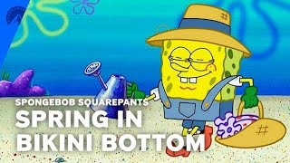 SpongeBob SquarePants  Spring In Bikini Bottom S3 E2  Paramount [upl. by Hylton]