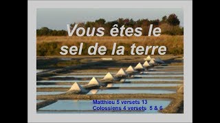 31  Vous êtes le sel de la terre Matthieu 5 v 13 [upl. by Atte843]