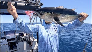 Rottnest island fishing for dhufish and tuna [upl. by Ythomit242]