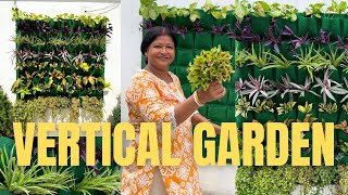 Vertical Gardening Ideas  Plants for vertical garden in India 💚 [upl. by Jennifer]