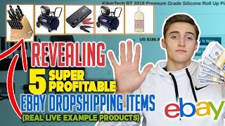 Revealing 5 SUPER Profitable Ebay Dropshipping Items REAL LIVE Example Products [upl. by Hardej932]