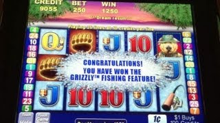 Aristocrat GRIZZLY Slot Machine Bonus at Borgata AC [upl. by Seema62]