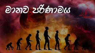 පරිණාමය Sinhala Wadan Sinhala Nisadas  Hithata Wadina Wadan පරිණාමය පරිණාමයconcert [upl. by Eigram]