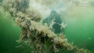 Footage shows sea snot threatening marine life [upl. by Croydon]