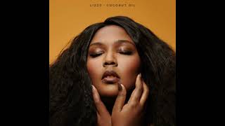 Lizzo  Phone Super Clean [upl. by Novanod]