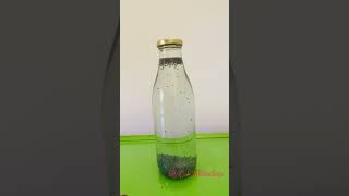 Add Basil Seeds to 1L water bottle  Rich Fiber  basilseeds water fiber tasbih experiment [upl. by Spooner]