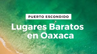 Lugares baratos en Puerto Escondido Oaxaca  Voluntariado 8 [upl. by Nelon]